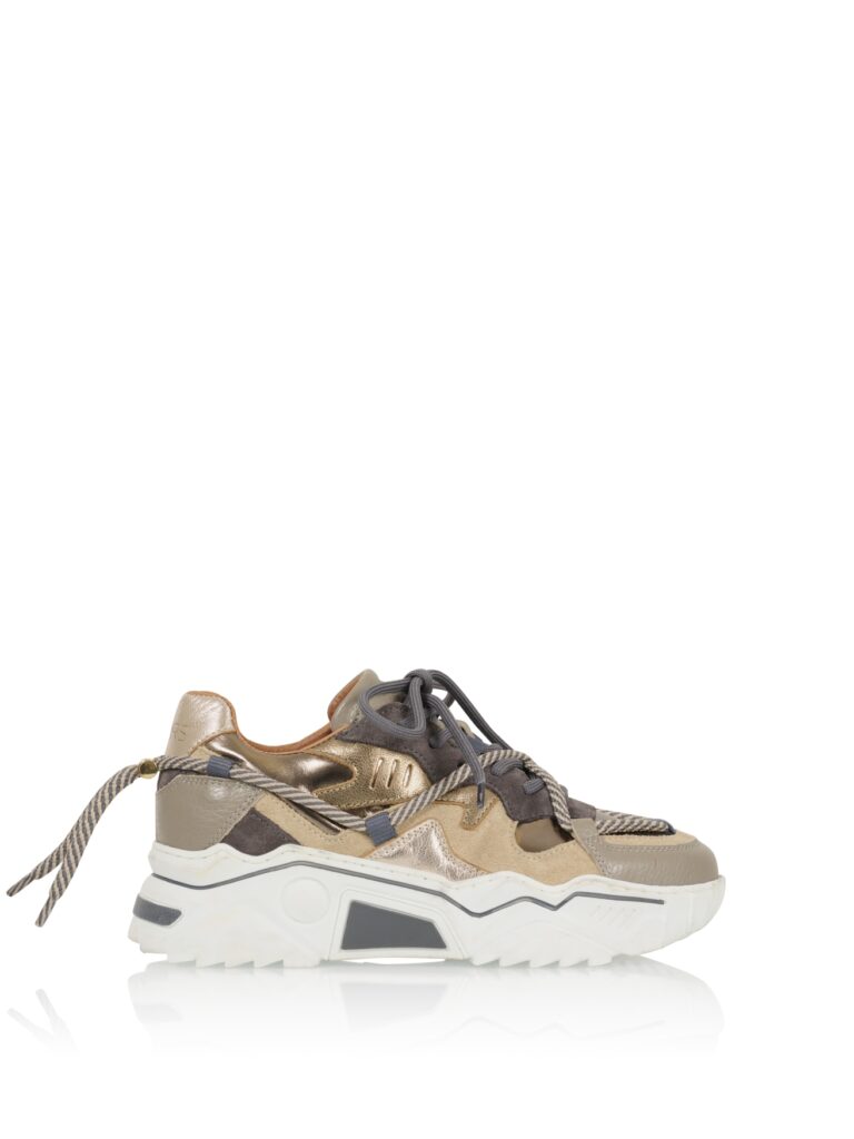 DWRS Label, Jupiter Elefante